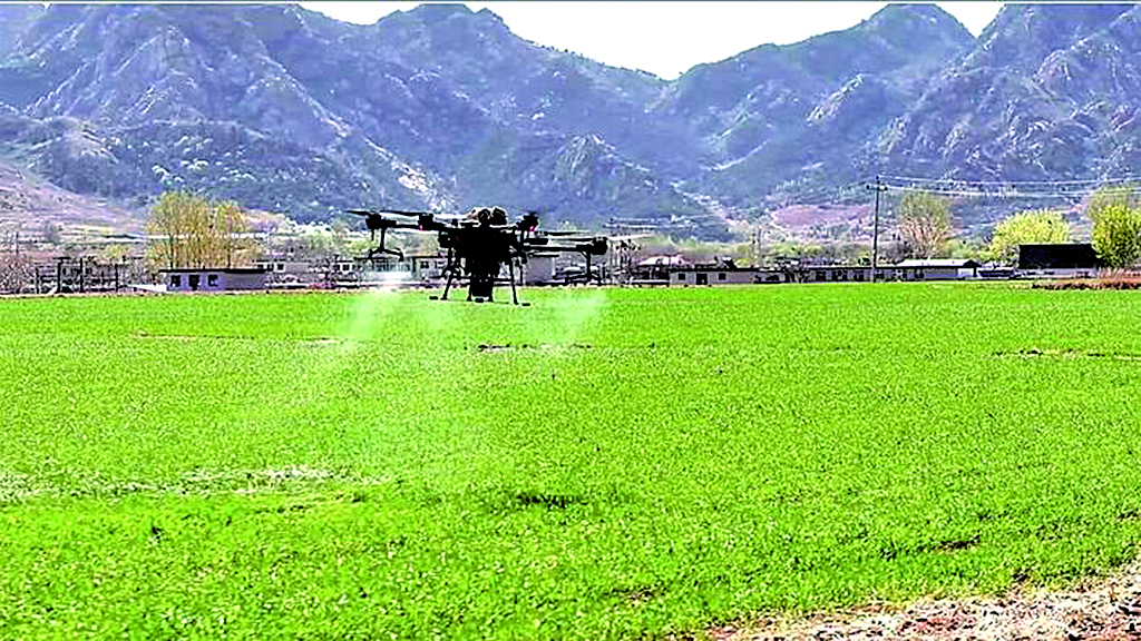 堅(jiān)定信心 勇挑大梁 · 改革新成效 | 撫寧區(qū)：零散地變“綠車(chē)間”，環(huán)保又增收