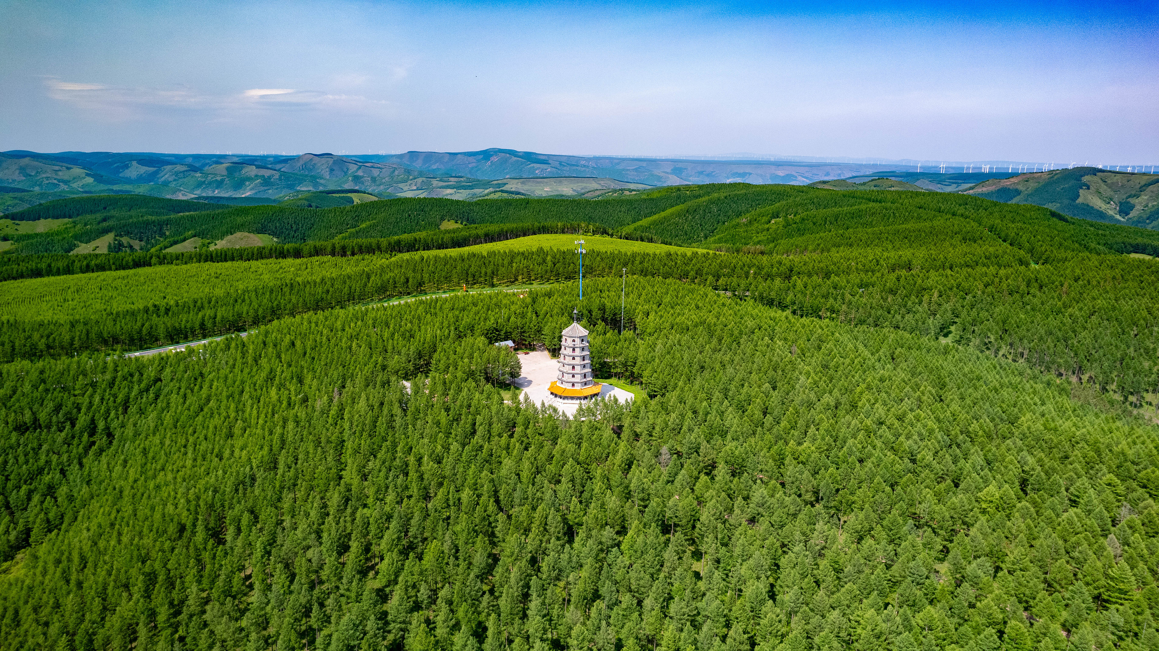 2025年6月11日，河北承德，塞罕壩林海浩渺。