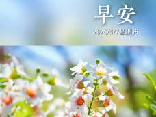 2026年5月7日 早安·初夏的風(fēng)，送來(lái)浪漫的花語(yǔ)